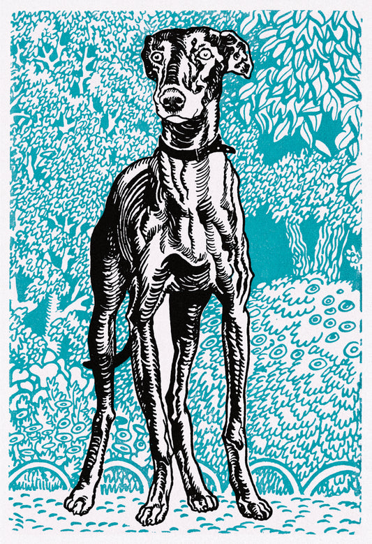 "Greyhound" 13 x 19" Archival Poster on Artist Grade BFK Reeves Paper