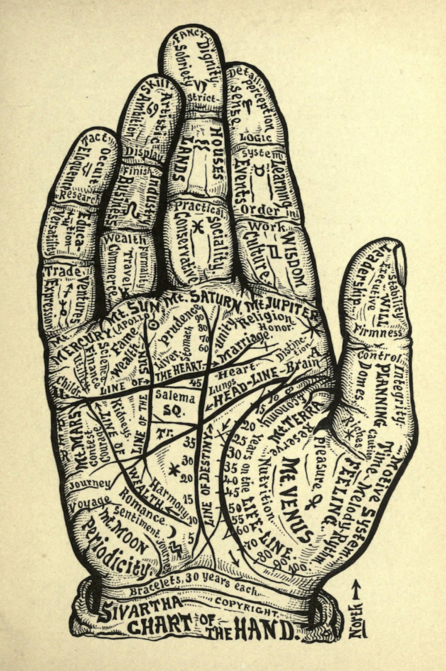 "Palmistry" 13 x 19" Archival Poster on Artist Grade BFK Reeves Paper