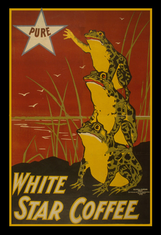 White Star Coffee Frogs 13x19" Archival Poster on Artist Grade BFK Reeves Paper